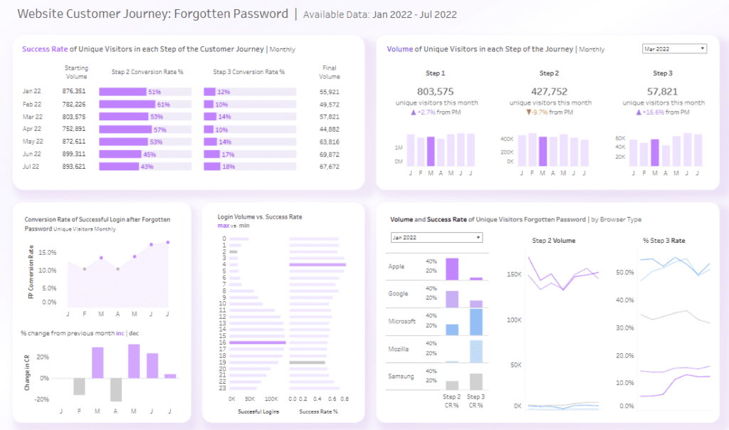 Customer Dashboard Examples 