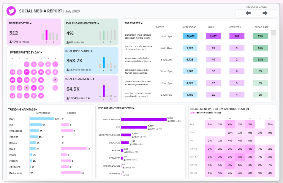 Social Media Dashboard Examples - Social Media Monthly Report